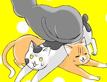 こまちの作品一覧 - ジャンプルーキー！